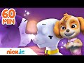 Patrulha Canina | Resgates de SEREIAS da Patrulha Canina! 🧜‍♀️ | Compilação de 60 Minutos | Nick Jr.