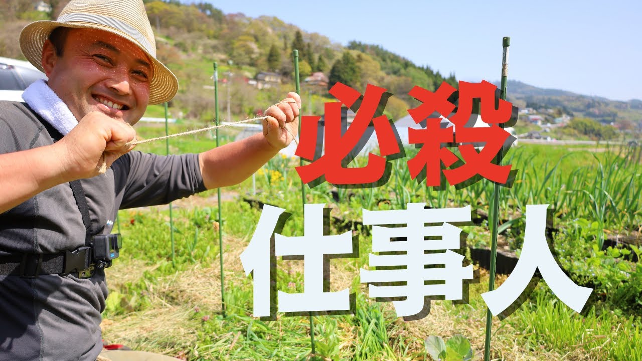 自然菜園GoPRO4K映像！】竹内さん視点 そら豆 誘引してみた - YouTube