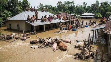 🚨 THẢM HỌA LŨ QUÉT! Dòng Nước Dữ Quét Sạch Cả Làng, Xe Máy Trôi Lên Mái Nhà