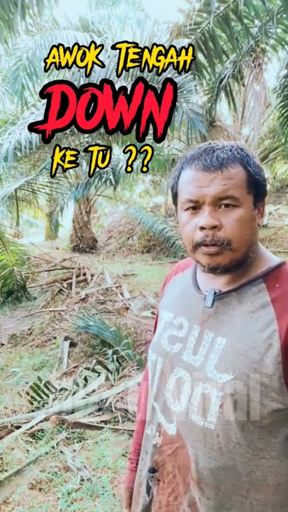 Awok Tengah DOWN Ke Tu ??? #shorts #bukuviral