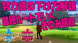 ポケモンソード 努力値 下げ方