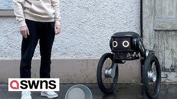 Company unveil cute AI security guard robots | SWNS