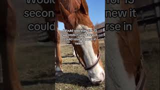 #Donate to the PayPal link in the bio for food any donation counts please donate to help #