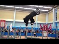 2017-Dec-3 全港龍獅公開賽：醒獅高樁比賽 Hong Kong Open Championship - Chinese Lion Dance: Jump (Part 2 - Revised)