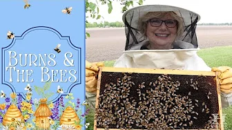 Burns & The Bees Part II ~ Up Close & Personal with the Bees!