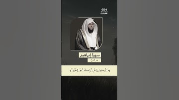 سورة ابراهيم بدر تركي