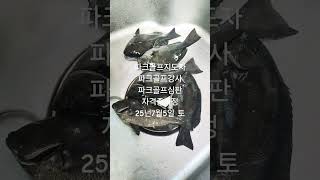 파크골프지도자 파크골프강사 파크골프심판 자격증과정 심촌지도소 010.8899.0615