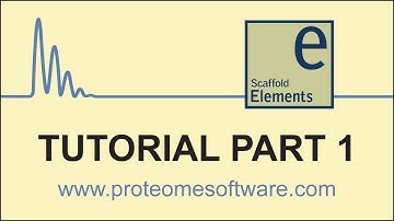 Scaffold Elements -- Loading Data
