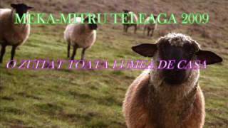 Meka Mitru Teleaga 2009 O Zuitat Toata Lumea De Casa