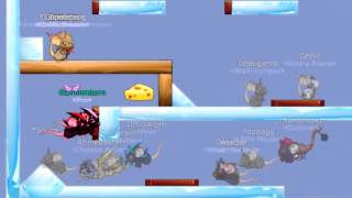 Transformice - Zangw e Gaminreturn