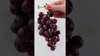 Download Lagu Rahasia Awet Muda dari Buah Anggur 🍇 MP3 Download Lagu Rahasia Awet Muda dari Buah Anggur 🍇 MP3