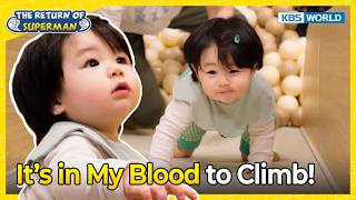 Haru Roars to the Top🛝 [The Return of Superman:Ep.611-2] | KBS WORLD TV 260315