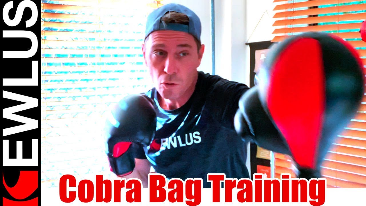 Cobra Bag Boxing Training Guide 