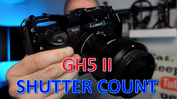 Step-by-Step Guide to Check Shutter Count on Panasonic Lumix GH5M2