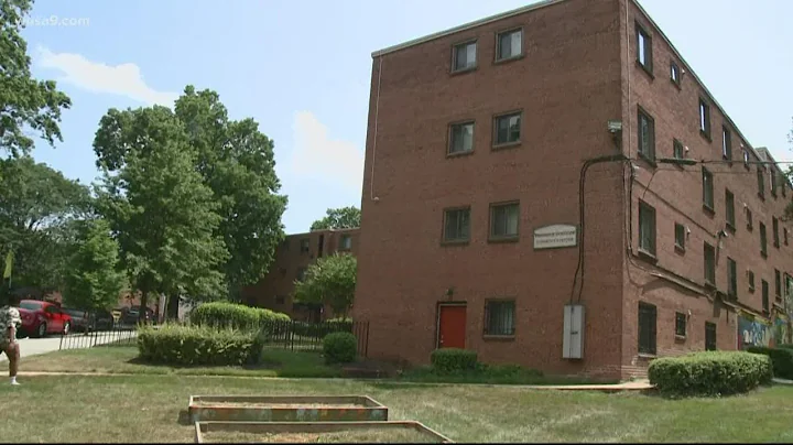 11-year-old boy killed after being struck in the h...