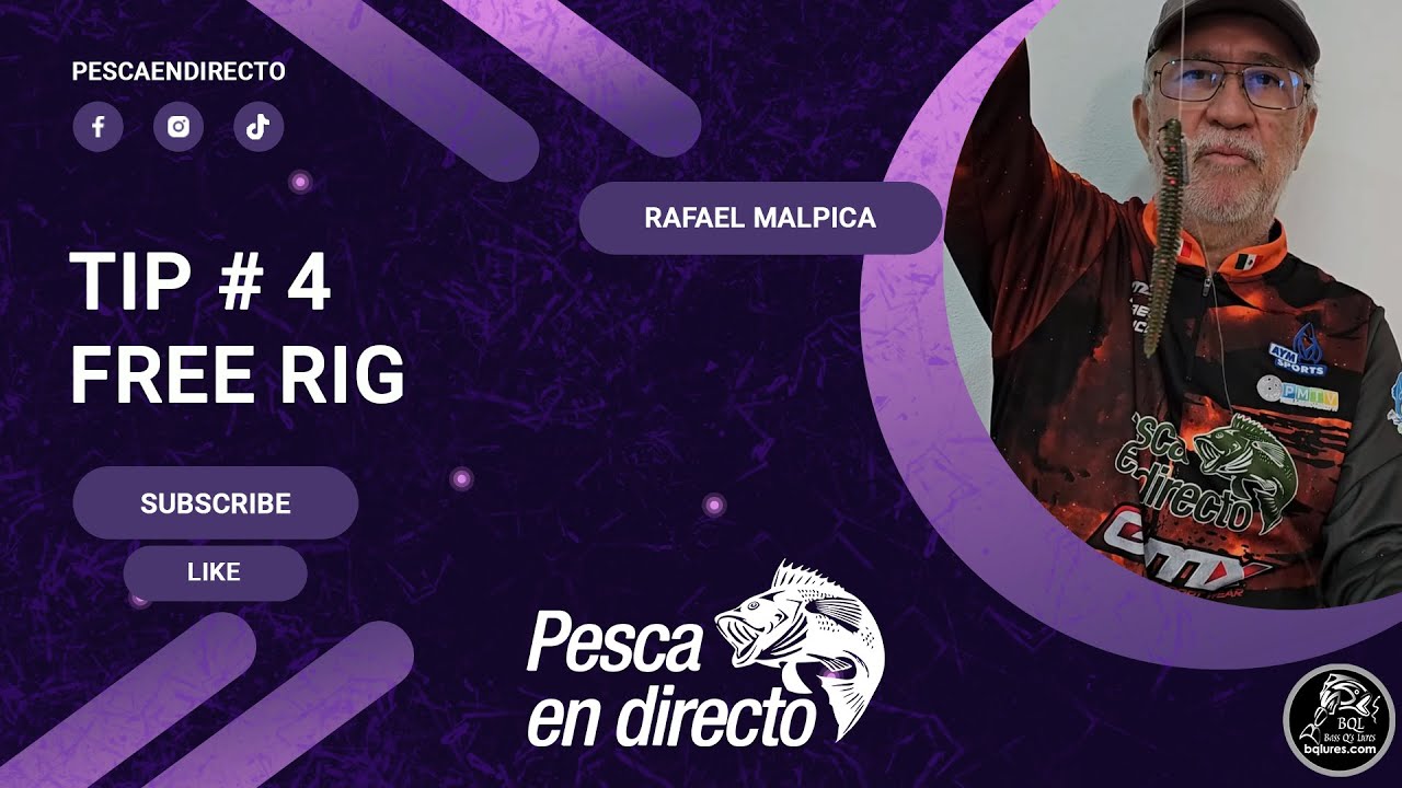 Free rig para principiantes de la pesca