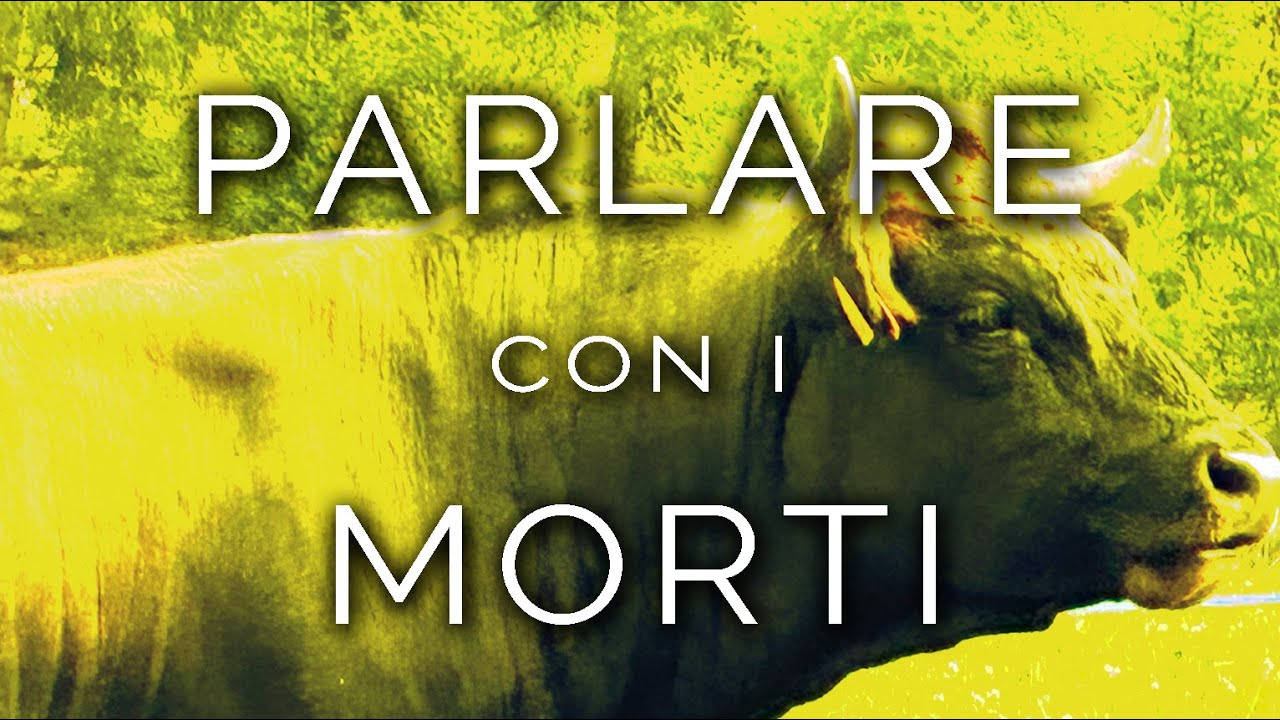 Meditazione Per Parlare Con I Morti 1605-IT Samantha, PARLARE con i MORTI - Ipnosi Esoterica ∞ Lucio Carsi