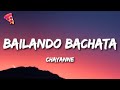 Chayanne - Bailando Bachata