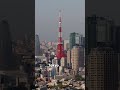 We love an awesome FREE view deck! #Japan #Tokyo #Ebisu #TokyoCityView #whattodointokyo #shorts