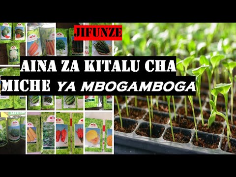 Video: Maua Katika Mambo Ya Ndani (picha 58): Nyimbo Za Mimea Ya Ndani Kwenye Sufuria Moja, Mbinu Za Kuweka Maua Ukutani Na Sakafuni, Maoni Ya Kutengeneza Nyumba