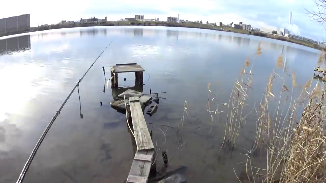バス釣り試練の冬来たるっ In淀川 18年1月7 14日編 Youtube