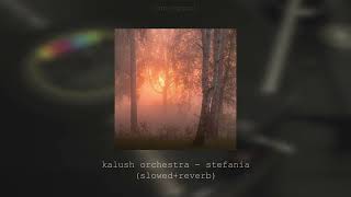 kalush orchestra - stefania (slowed+reverb) Resimi