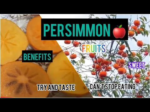 Video: Bakit Kapaki-pakinabang Ang Pagkain Ng Mga Persimmons