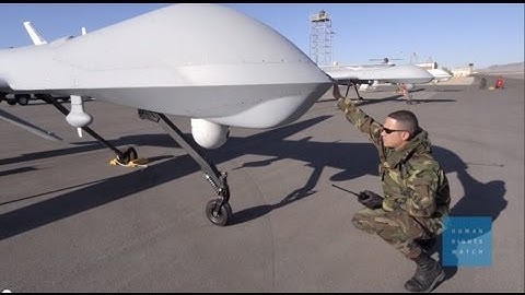 Pull the Plug on Killer Robots