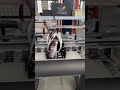 🎉 Welcome to AGP Factory! 🎉