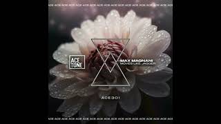 Max Magnani - Moves Like Jagger