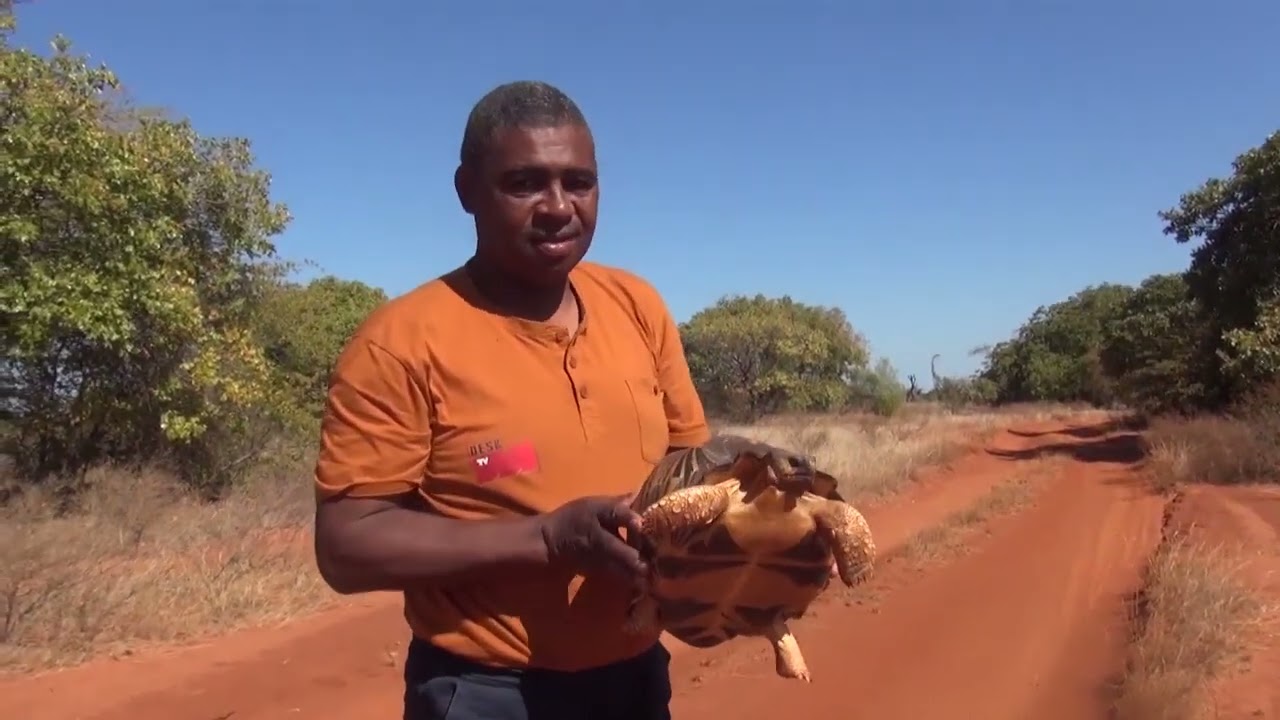 MADAGASIKARA NOSY MAINTSO JIB 2024