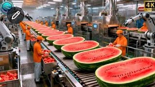 How a Modern Watermelon Processing Plant Turns Whole Melons into Sweet Red Juice (Full Process)