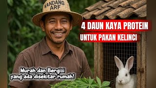 4 PROTEIN-RICH LEAVES FOR RABBIT FEED: FREE & NUTRITIOUS PLANTS AROUND YOUR HOME! #rabbit #trending