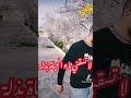 كاين اللي يخليك ويروح وكاين اللي يتبدل باه انت تروح الأولى واعرة الثانية تقتل نقول ولا منقولش