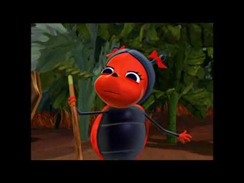 🐝🐛DROLE DE PETITES BETES - Compilation🐝🐛
