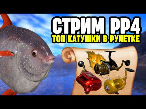 Видео: 🔴 СТРИМ РР4┃🎁 Розыгрыш ПРЕМОВ и ЗОЛОТА┃😱 РАПТОР, ТРИУМФ, ВЕНГА в рулетке┃💥 Морской фарм┃maXS1k