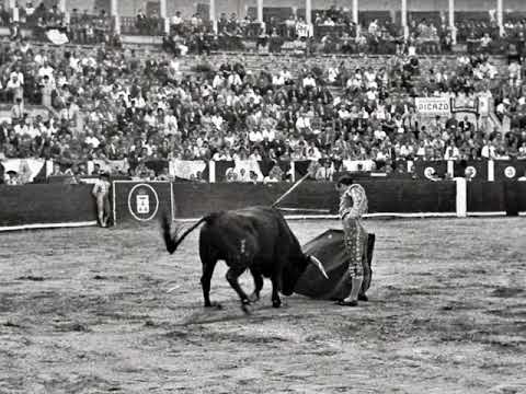 PASODOBLE ANDRES HERNANDO