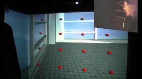 Gaze-based Interaction in Virtual Reality - Calibration of Eye Tracking and Motion Capturing