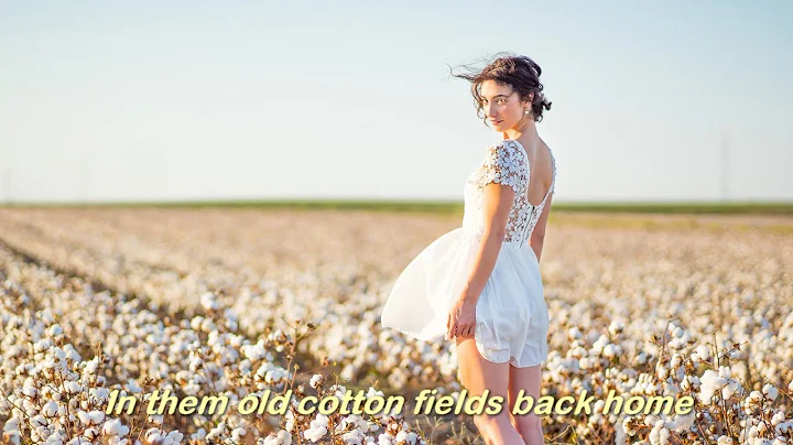 Cotton Fields (1969)  -  CREEDENCE CLEARWATER REVI...