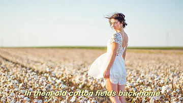 What states still grow cotton?