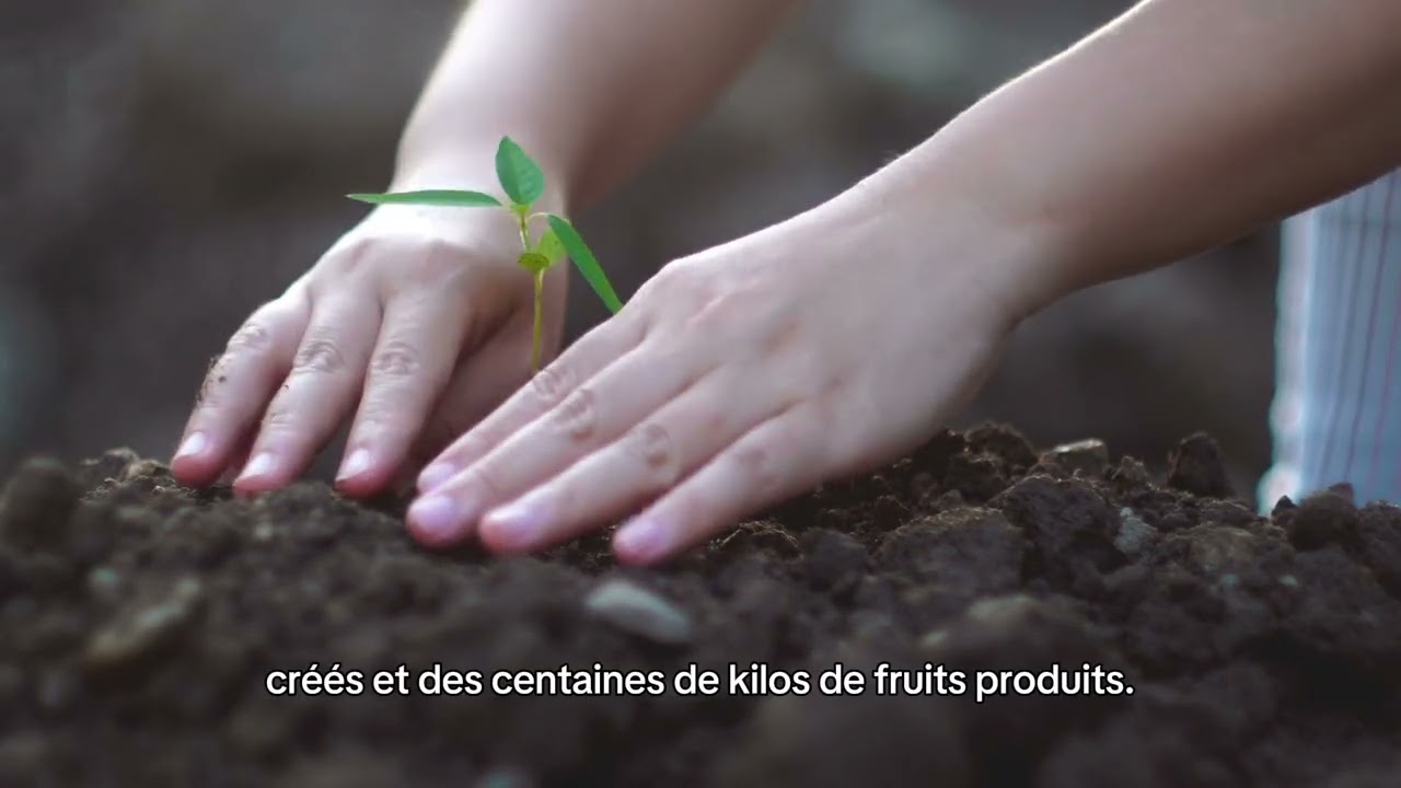 Société immobilière Bélanger : nos engagements environnementaux pour un Québec durable