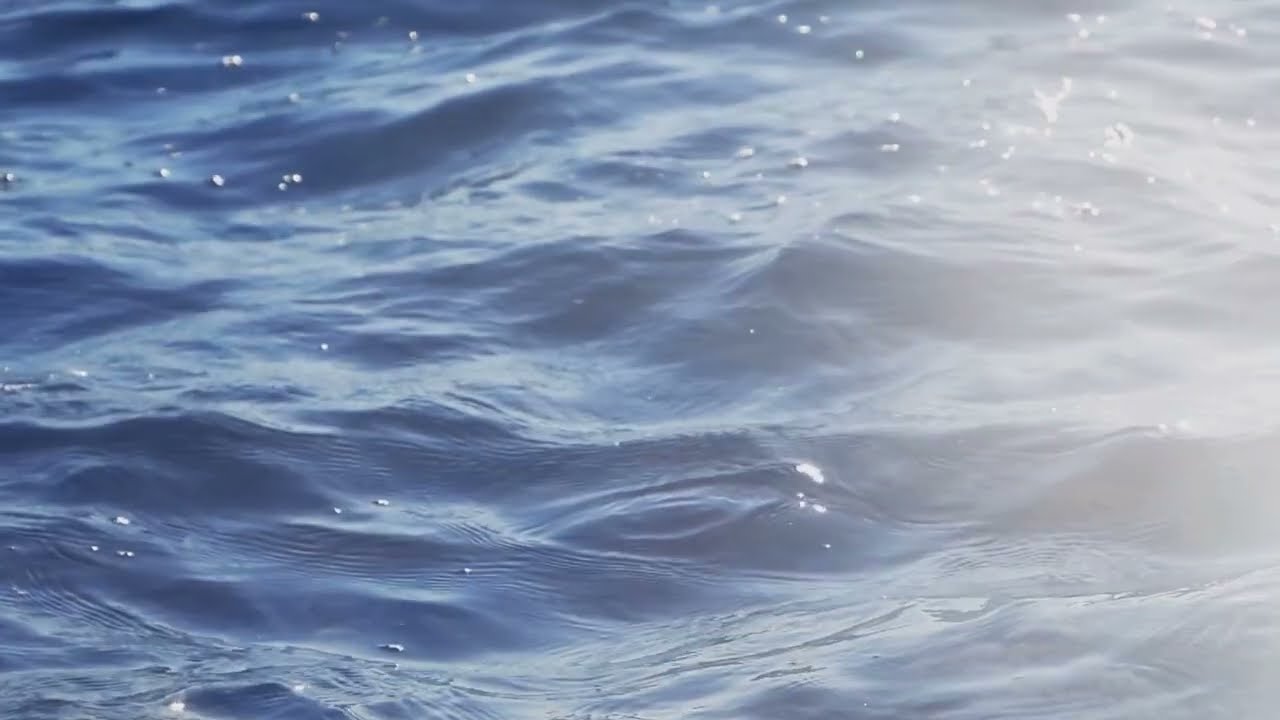 Trauma Release frequency Music for Sleep | 55 Mins Sound Therapy 🎧 🎵 💤