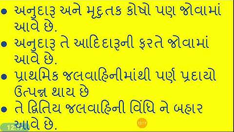 CC BOT 211 (LEC- 23) TBP