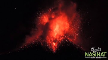 Râhman Sûresi Nâsır el-Kitâmî سورة الرحمن ناصر القطامي