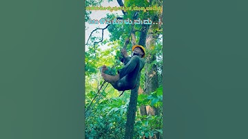 “ Preserving 💫Is More Important Than Gaining⬆️. ” #hescom #lineman #powerman #ytshorts #viralshort