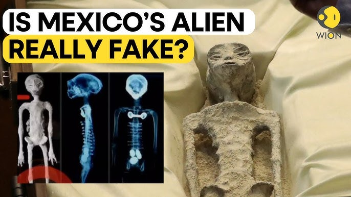 Mysterious non-human 'Alien-like' beings displayed at Mexico's Congress |  WION Originals - YouTube