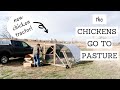 Taking the Chickens to Pasture & GrubTerra Review | RAISING PASTURED BROILER CHICKENS