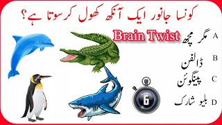 Urdu General Knowledge Point World Journal Knowledge Urdu Quizzes Brain Twists Questions