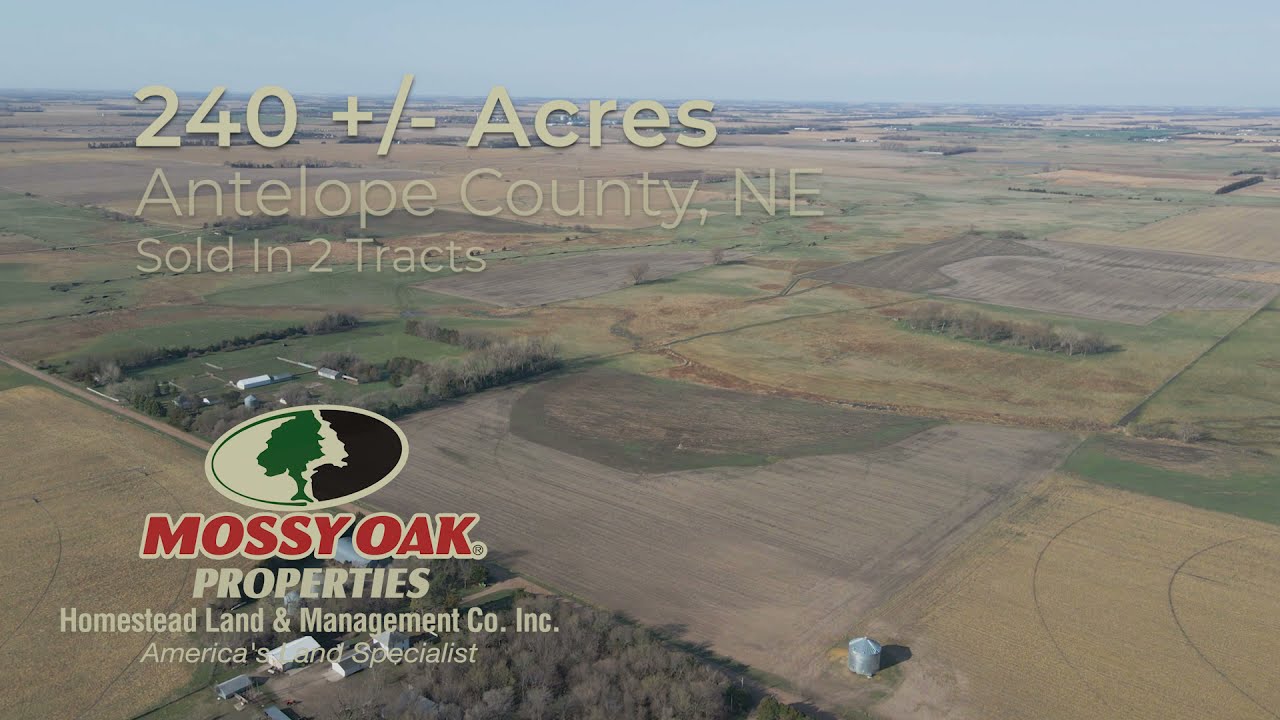 AUCTION 240 Acres (+/) in Antelope County, Nebraska (Sold in 2 Tracts