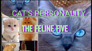 CAT'S PERSONALITY, THE FELINE FIVE